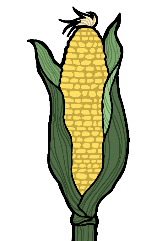 corn